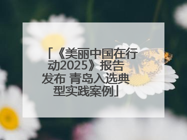 《美丽中国在行动2025》报告发布 青岛入选典型实践案例