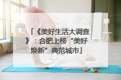 《美好生活大调查》：合肥上榜“美好焕新”典范城市