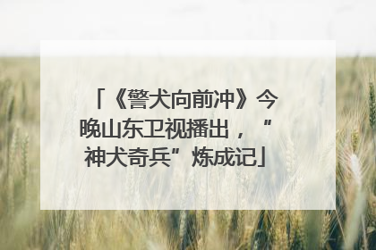 《警犬向前冲》今晚山东卫视播出，“神犬奇兵”炼成记