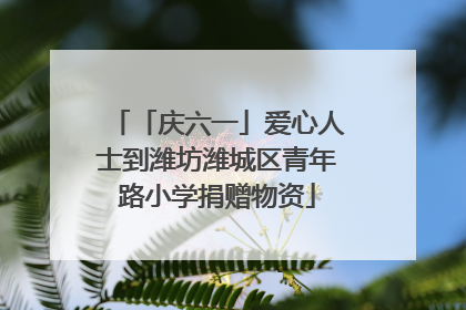 「庆六一」爱心人士到潍坊潍城区青年路小学捐赠物资