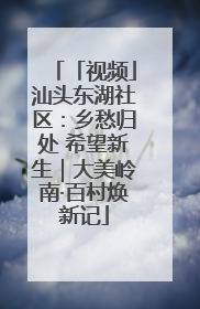 「视频」汕头东湖社区：乡愁归处 希望新生｜大美岭南·百村焕新记