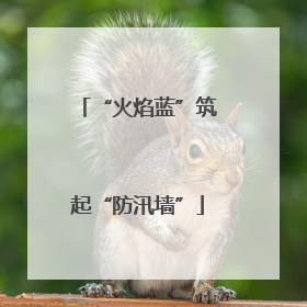 “火焰蓝”筑起“防汛墙”