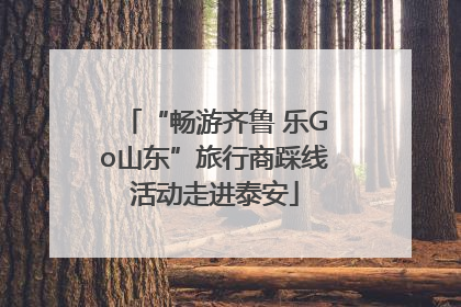 “畅游齐鲁 乐Go山东”旅行商踩线活动走进泰安