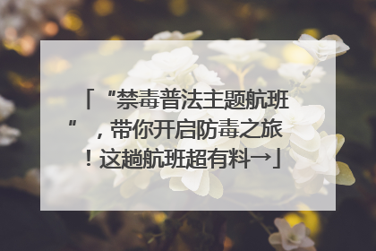 “禁毒普法主题航班”，带你开启防毒之旅！这趟航班超有料→