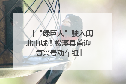“绿巨人”驶入闽北山城！松溪县首迎复兴号动车组