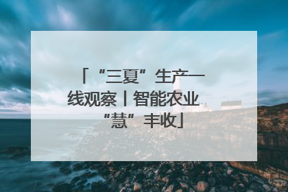 “三夏”生产一线观察丨智能农业“慧”丰收