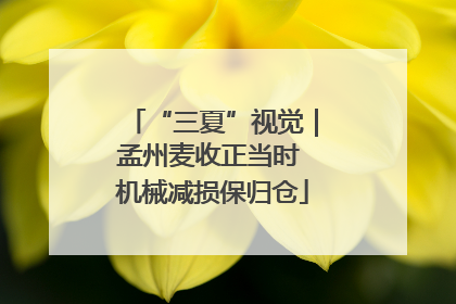 “三夏”视觉｜孟州麦收正当时 机械减损保归仓