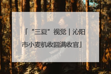 “三夏”视觉｜沁阳市小麦机收圆满收官