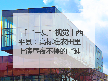 “三夏”视觉｜西平县：高标准农田里上演昼夜不停的“速度与激情”