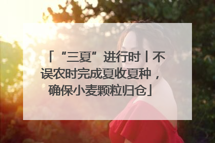 “三夏”进行时丨不误农时完成夏收夏种，确保小麦颗粒归仓