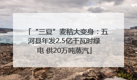 “三夏”麦秸大变身：五河县年发2.5亿千瓦时绿电 供20万吨蒸汽