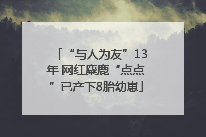 “与人为友”13年 网红麋鹿“点点”已产下8胎幼崽