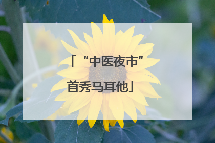 “中医夜市”首秀马耳他