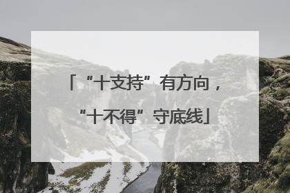 “十支持”有方向，“十不得”守底线