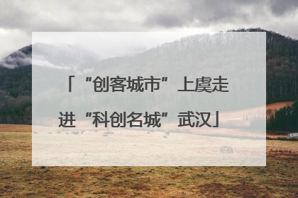 “创客城市”上虞走进“科创名城”武汉