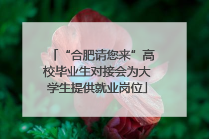 “合肥请您来”高校毕业生对接会为大学生提供就业岗位