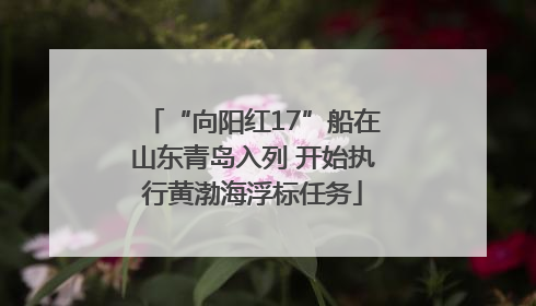 “向阳红17”船在山东青岛入列 开始执行黄渤海浮标任务