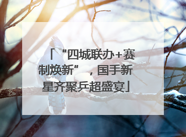“四城联办+赛制焕新”，国手新星齐聚乒超盛宴