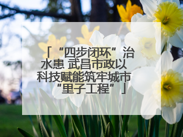 “四步闭环”治水患 武昌市政以科技赋能筑牢城市“里子工程”