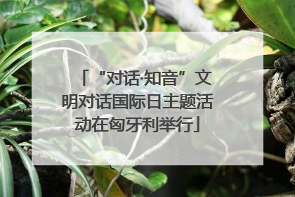 “对话·知音”文明对话国际日主题活动在匈牙利举行