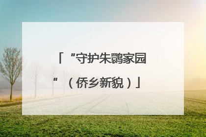 “守护朱鹮家园”（侨乡新貌）