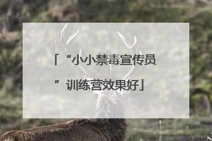 “小小禁毒宣传员”训练营效果好