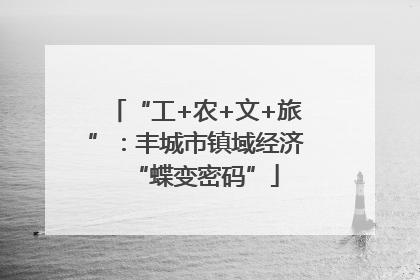 “工+农+文+旅”：丰城市镇域经济“蝶变密码”