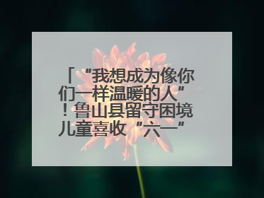 “我想成为像你们一样温暖的人”！鲁山县留守困境儿童喜收“六一”暖心礼