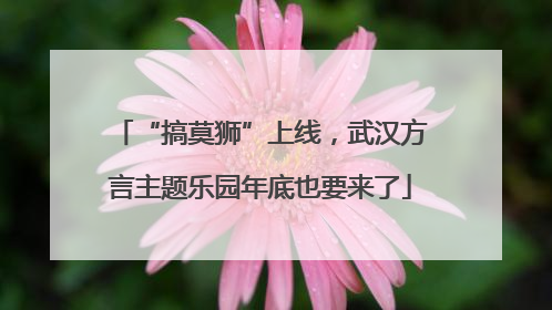 “搞莫狮”上线，武汉方言主题乐园年底也要来了