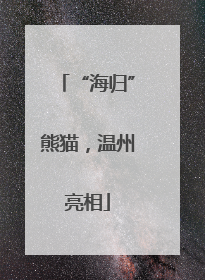“海归”熊猫，温州亮相