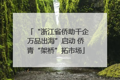 “浙江省侨助千企万品出海”启动 侨青“架桥”拓市场