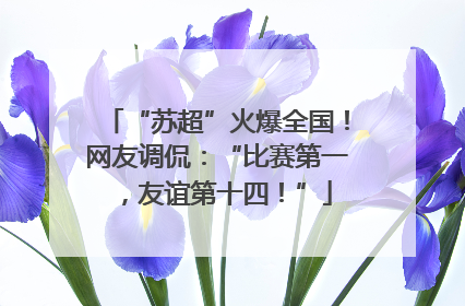“苏超”火爆全国！网友调侃：“比赛第一，友谊第十四！”