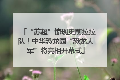 “苏超”惊现史前拉拉队！中华恐龙园“恐龙大军”将亮相开幕式