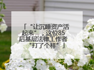 “让沉睡资产活起来”，这位85后基层法律工作者“打了个样”