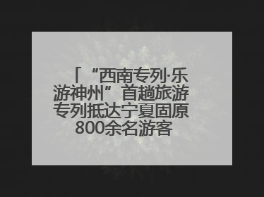 “西南专列·乐游神州”首趟旅游专列抵达宁夏固原 800余名游客开启清凉之旅