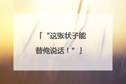 “这张状子能替俺说话！”