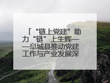 “链上党建”助力“链”上生辉——阜城县推动党建工作与产业发展深度融合