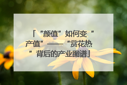 “颜值”如何变“产值”——“赏花热”背后的产业图谱