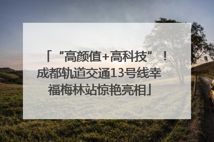 “高颜值+高科技”！成都轨道交通13号线幸福梅林站惊艳亮相