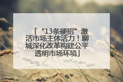 “13条硬招”激活市场主体活力！聊城深化改革构建公平透明市场环境