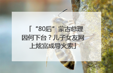 “80后”蒙古总理因何下台？儿子女友网上炫富成导火索