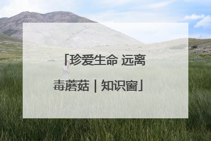 珍爱生命 远离毒蘑菇｜知识窗