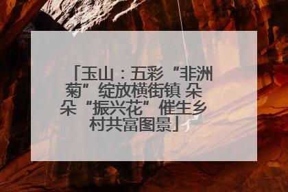 玉山：五彩“非洲菊”绽放横街镇 朵朵“振兴花”催生乡村共富图景