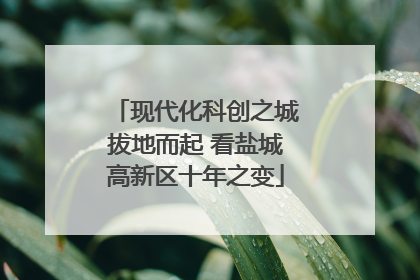 现代化科创之城拔地而起 看盐城高新区十年之变