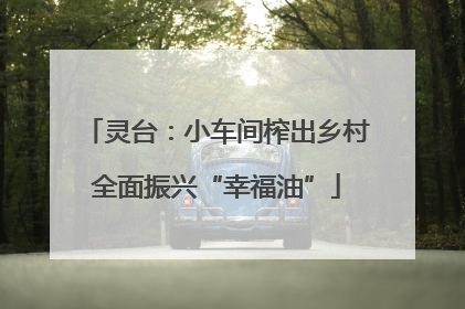 灵台：小车间榨出乡村全面振兴“幸福油”