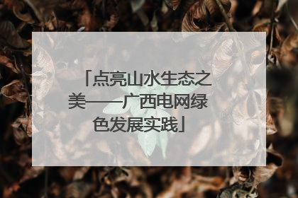 点亮山水生态之美——广西电网绿色发展实践