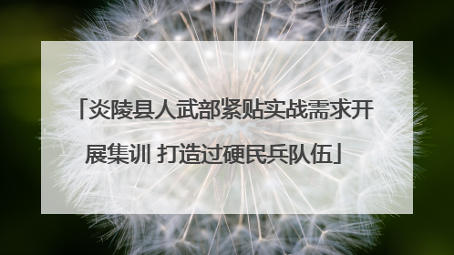 炎陵县人武部紧贴实战需求开展集训 打造过硬民兵队伍