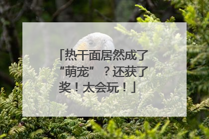 热干面居然成了“萌宠”？还获了奖！太会玩！
