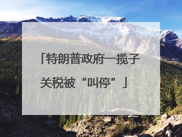 特朗普政府一揽子关税被“叫停”