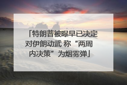特朗普被曝早已决定对伊朗动武 称“两周内决策”为烟雾弹